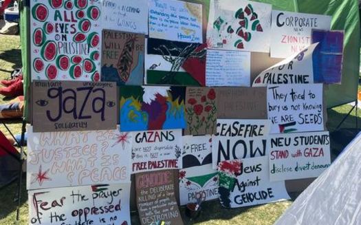 College students are leading the call for a ceasefire in the Israeli war in Gaza. Since the Oct. 7 attack by Hamas, the United States has enacted legislation providing at least $12.5 billion in military aid to Israel, according to the Council on Foreign Relations. (Ehn)