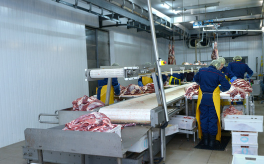 Critics of the commercial meatpacking industry said conditions are inhumane for the animals and dangerous for the people who work in processing plants. (Adobe Stock) 