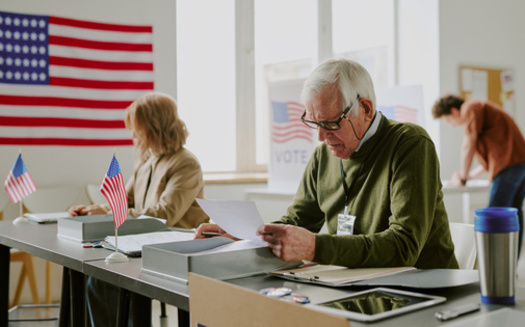 Nevada has seen an exodus of poll workers since 2020. (AnnaStills/Adobe Stock)