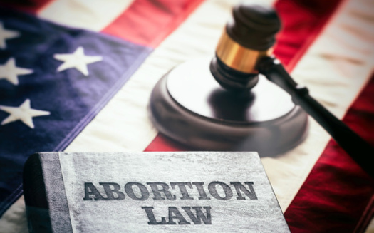 The group submitted more than 101,000 signatures. If they had all been verified it would have been enough to put the measure on the ballot. (Rawf8/Adobe Stock) 