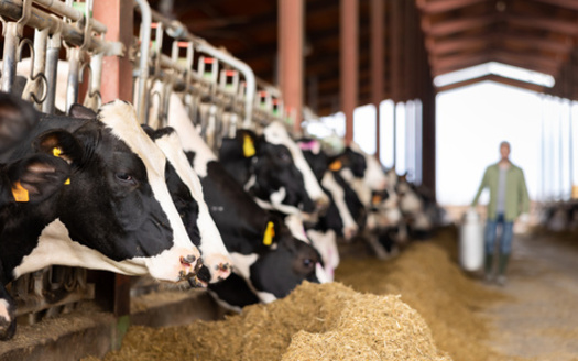 Every five years, the Farm Bill expires and is renewed through a lengthy process of proposal, debate, and approval by Congress, followed by the President's signature to become law. (JackF/Adobe Stock)