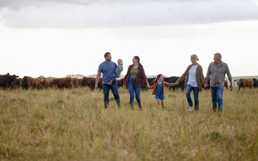 Independent agriculture producers are asking Congress to consider small family farmers in the next Farm Bill, which has yet to be debated in the nation's capital. (Adobe Stock)