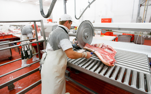 Meatpackers are able to lower the cost of processing each animal by running bigger operations compared to smaller facilities. (Dragosh/Adobe Stock)