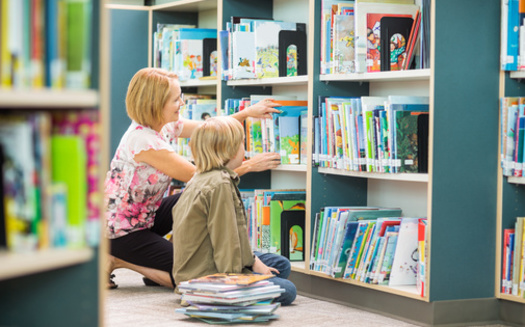 According to Every Library Institute, Project 2025 aims to reduce federal oversight protections and spending as well as reallocating responsibilities to states and localities. (Tyler Olson/Adobe Stock)