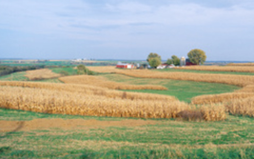 Practical Farmers of Iowa is offering landowners incentives to restore habitat to low-yield areas. (Adobe Stock) 
