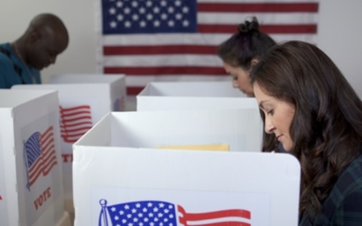 Backers of the Freedom to Vote Act said it would strengthen democracy by securing voting rights, eliminating partisan gerrymandering, reforming campaign finance laws and ensuring the integrity of the electoral process.(Adobe Stock) 