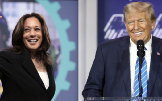 Similar to the faceoff between President Joe Biden and former President Donald Trump earlier this summer, microphones during Vice President Kamala Harris and Trump's debate will also be muted while one candidate is speaking. (Gage Skidmore)