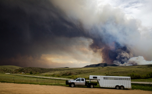 In response to the House Draw Fire, the Wyoming Game and Fish Department invited reports of injured wildlife to a hotline typically used to report poaching. (Adobe Stock)