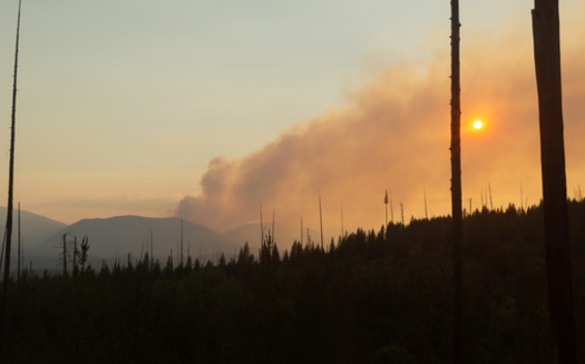 As part of its Collaborative Wildfire Risk Reduction Program, the U.S. Forest Service has made $8 million available to help prevent fires in Montana by reducing hazardous fuels. (Adobe Stock)