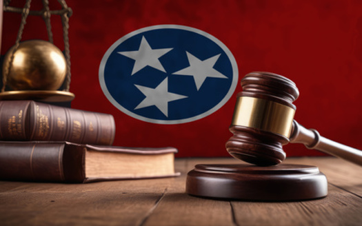 In Fiscal Year 2023, Tennessee's Department of Correction allocated about $907 million for incarceration expenses, not including capital expenditures. (Adobe Stock)