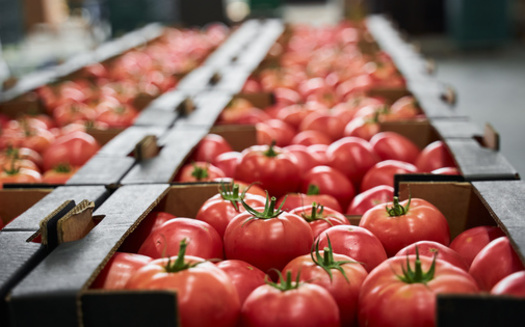 According to the newly-formed South Dakota Healthy Nutrition Collaborative, over 100,000 South Dakotans experience food insecurity, including 24,000 children. (Yakobchuk Olena/Adobe Stock)