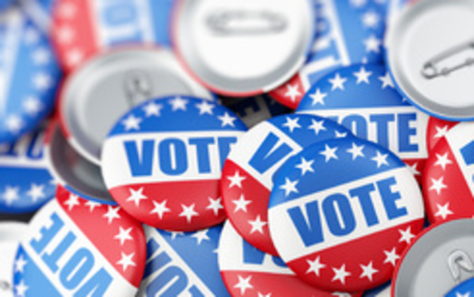 The Illinois State Election Board reported nearly 5 million residents, a little more than 98% of registered voters cast their vote in the 2020 presidential election. (Adobe Stock)