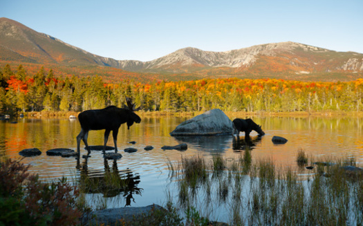 The Land for Maine's Future program has helped preserve more than 67 miles of shoreline on rivers, lakes and ponds, as well as 42 farms and 9,819 acres of farmland and the conversion of 158 miles of former railroad corridors into recreational trails. (Adobe Stock)<br />