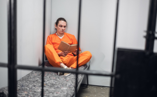 A 2023 PEN America report finds Florida leads states for the number of books banned in prisons, at 22,825 different titles. (Adobe Stock)