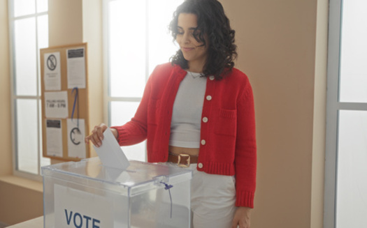 Lawmakers introduced the Freedom from Intimidation in Elections Act in Congress on Wednesday. The bill would limit the ability to openly carry a gun at a polling place. (Krakenimages.com/Adobe Stock)