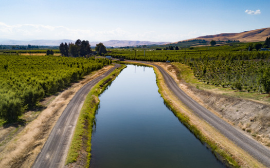 Farm runoff contributes to nitrate pollution in nearby waterways. (Reagan/Adobe Stock)