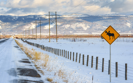 To date, the Bureau of Land Management has permitted clean-energy projects on public lands adding 29 gigawatts of electricity, or enough to power more than 12 million homes, according to the agency. (Adobe Stock)