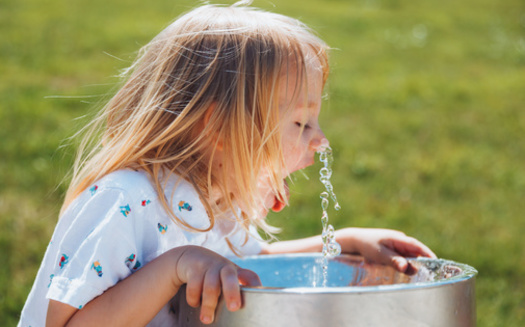 There is no safe level of lead in a person's blood, according to the Centers for Disease Control. Scientists note even low lead levels have been shown to affect IQ, the ability to pay attention and academic achievement. (Adobe Stock)<br />