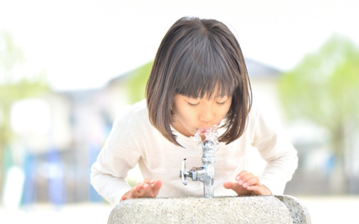 More than 80% of the 62,557 taps tested from 1,738 schools and child care centers across Massachusetts since 2016 have tested positive for lead, according to the Massachusetts Department of Environmental Protection. (Adobe Stock) <br />