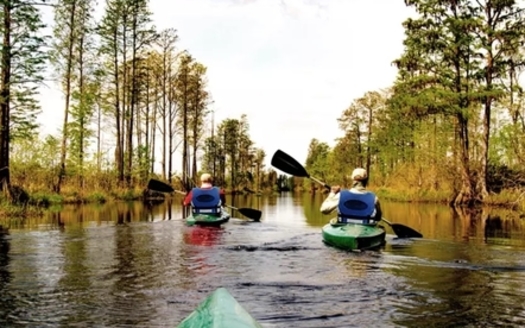 The Okefenokee National Wildlife Refuge is a 350,000-acre national wilderness area located at the headwaters of the Suwannee and St. Marys rivers in southern Georgia. (Mike Sepelak/USFWS)