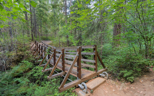 Popular recreation sites like those found in the Gifford Pinchot National Forest are included in the Northwest Forest Plan area. (jpldesigns/Adobe Stock)