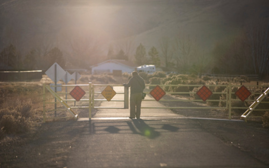 Black rural voters overwhelmingly support Harris at 79%, according to the Rural Democracy Initiative poll. (Adobe Stock)