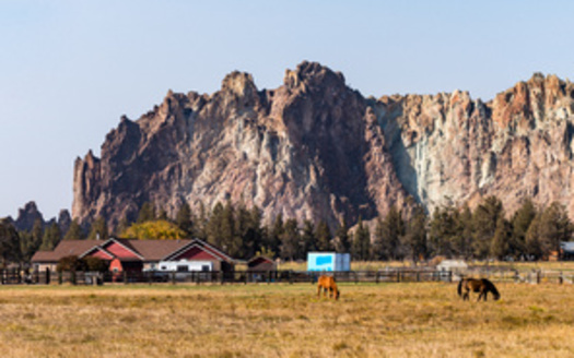 The economy, jobs and inflation are the top concerns for likely rural voters. (Esteban Martinena/Adobe Stock)