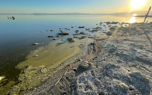 The Salton Sea, south of the Palm Springs area, is a heavily polluted lake with large geothermal and lithium resources beneath it. (Dr. Manuel Pastor)<br />