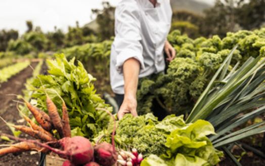 For fiscal year 2024, the Patrick Leahy Farm to School Grant Program is giving out a record $14.3 million in funding. (Adobe Stock) 