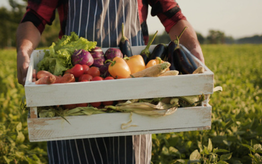 North Carolina's agricultural business employs more than 100,000 farmers in poultry. (Adobe Stock)
