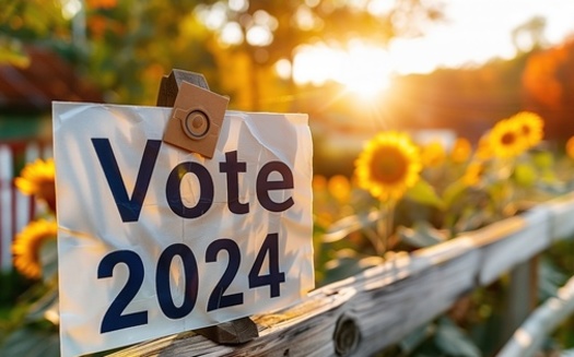 Thus far in 2024, 75% of down-ballot elections were uncontested nationwide, meaning a candidate ran for office without opposition. (Matt/Adobe Stock)