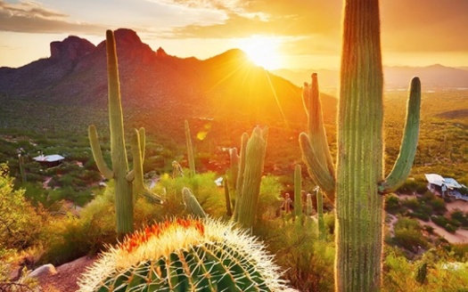 The National Park Service is grappling with underfunding, staff shortages and a nearly $12 billion repair backlog, according to the National Parks Conservation Association. (Adobe Stock)