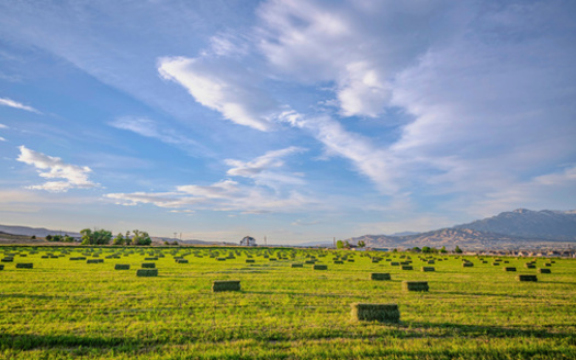The LeRay McAllister Fund was created to safeguard Utah's agricultural landscapes and economy, according to the Utah Department of Agriculture and Food. (Adobe Stock) 