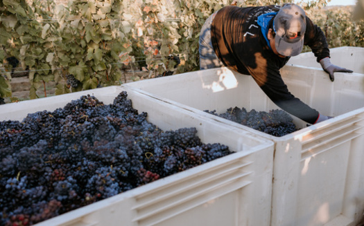 The estimated 11 million unauthorized immigrants living in the United States in 2022 was below the peak of 12.2 million in 2007. (Gretchen/Adobe Stock)