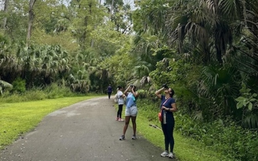 According to Hispanic Access, an urban canopy provides enormous benefits, from reducing the urban heat island effect and lowering energy bills to absorbing carbon dioxide and pollutants. (Hispanic Access Foundation)