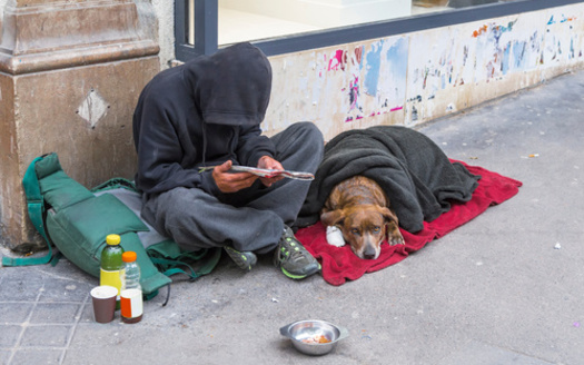 The National Alliance to End Homelessness found 10% of people experiencing homelessness have service, emotional support or companion animals. (Adobe Stock)
