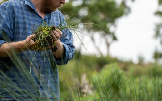 Since 1991, Minnesota's Environment and Natural Resources Fund has provided about $700 million to over 1,700 projects statewide, including things like research work for soil health. (Adobe Stock)