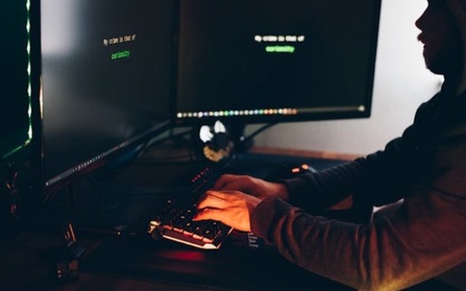 The Internet Crime Complaint Center is the central hub for reporting cyber-enabled crime. It is run by the FBI, the lead federal agency investigating crime. (Anete Lusina/Pexels)