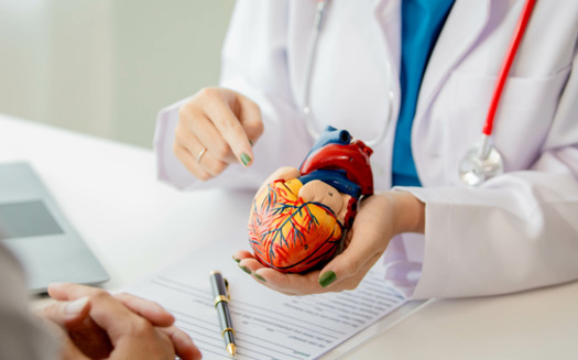 According to the American Heart Association, a healthy eating pattern includes whole foods, lots of fruits and vegetables, lean protein, nuts, seeds, and cooking in non-tropical oils such as olive and canola. (Adobe Stock) 