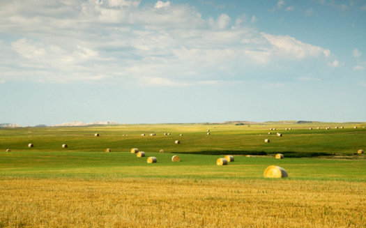 According to the South Dakota Secretary of State, South Dakota's Referred Law 21 was ousted by voters 59% to 41%. (Brent Coulter)<br />