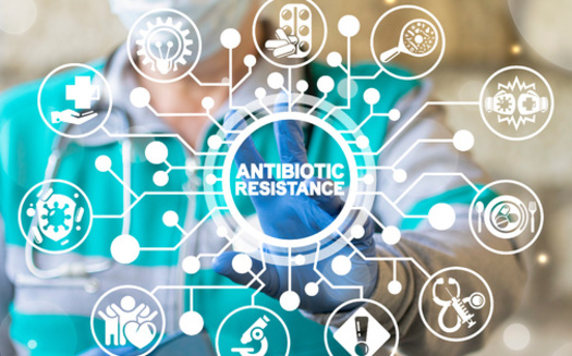 At least 1.2 million people are killed globally from antibiotic-resistant microbes each year. (wladimir1804/Adobe Stock)