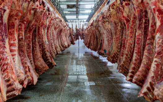 Slaughterhouses can contribute to environmental degradation through toxic runoff and water usage. (Adobe Stock)
