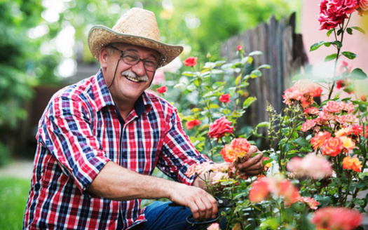 People eligible for a Dual Special Needs Plan are a diverse group, as nearly half are people of color and nearly 40% are under age 65, according to the health care advocacy group KFF. (Adobe Stock)<br />