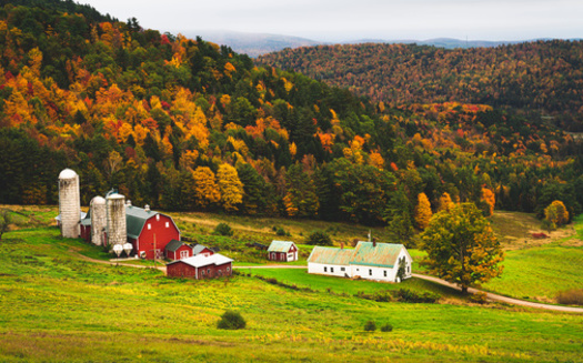Meadville's Climate Action Plan includes a food project to help local vendors and farmers increase the affordable fresh produce they offer. And a farming incubator will allow residents access to larger plots of land and agricultural training. (Don/Adobed Stock)