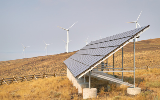 A new analysis found solar and wind energy sources are much better poised to meet U.S. energy demands in the next decade than new nuclear technology. (maxdigi/Adobe Stock)