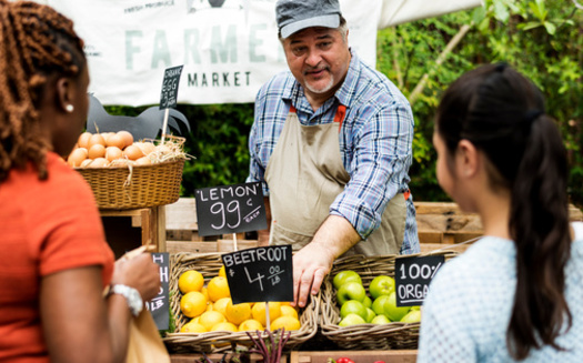 Since the Massachusetts Healthy Incentives Program began in 2017, SNAP households have purchased more than $63 million from local farmers in healthy, local foods. (Adobe Stock)