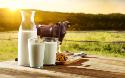 Milk is the only food that makes up an entire food group. (magdal3na/Adobe Stock)
