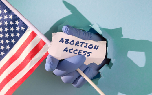 Ballot measures to ensure access to abortion won in the 2024 election in red states like Arizona, Missouri and Montana. (tilialucida/Adobe Stock)