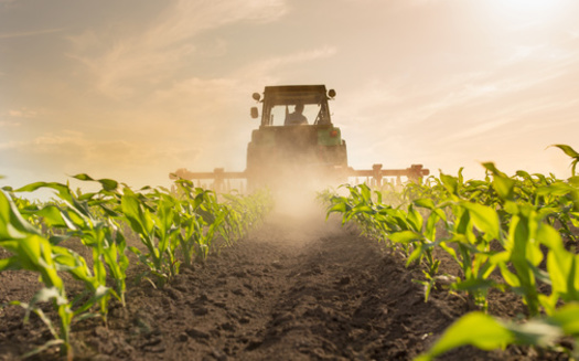 The USDA is investing more than $3 billion in about 140 pilot projects for 