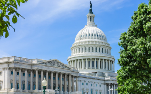 The NAACP, Human Rights Watch, the ACLU and other groups are voicing opposition to the Stop Terror-Financing and Tax Penalties on American Hostages Act. (Adobe Stock)